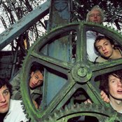 Mystery Jets - List pictures
