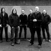 Green Carnation - List pictures