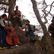 Gadjo - List pictures