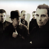 Street Dogs - List pictures