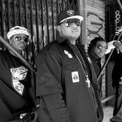 Ahmir - List pictures