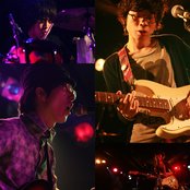 White Ash - List pictures