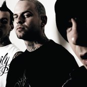 Transplants - List pictures