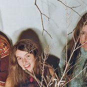 Stealing Sheep - List pictures