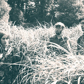 Esben And The Witch - List pictures