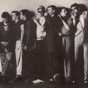 Madness - List pictures