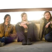 Seabird - List pictures