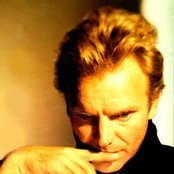 Sting - List pictures