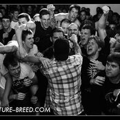 Verse - List pictures