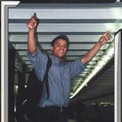 Denyo - List pictures