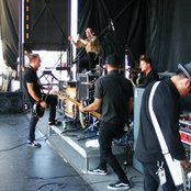 Street Dogs - List pictures