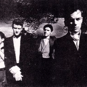 And Also The Trees - List pictures