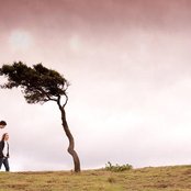 Parades - List pictures