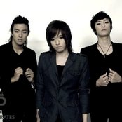 Royal Pirates - List pictures