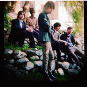 The Young Veins - List pictures