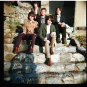 The Young Veins - List pictures