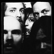 Zwan - List pictures