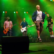 Rotten Bark - List pictures