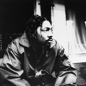 Celly Cel - List pictures