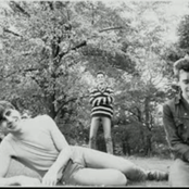 Chameleons - List pictures