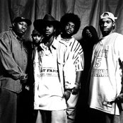 The Roots - List pictures