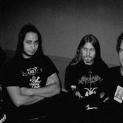 Hydra - List pictures