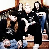 Soil - List pictures