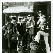 The Buckinghams - List pictures