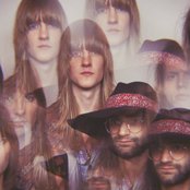 Pauw - List pictures