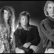 Zebra - List pictures