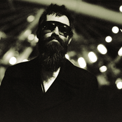 Eels - List pictures