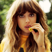 Foxes - List pictures