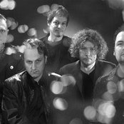 Weeping Willows - List pictures