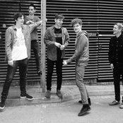 Dog Is Dead - List pictures