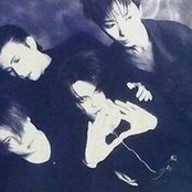 Deep - List pictures