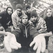 Borialis - List pictures