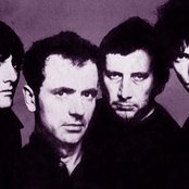 Stranglers - List pictures