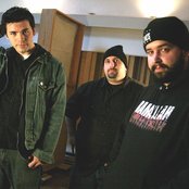 Ducky Boys - List pictures