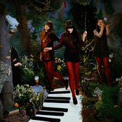 Au Revoir Simone - List pictures