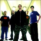 32 Leaves - List pictures