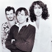 Meat Puppets - List pictures
