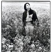 Lisa Germano - List pictures