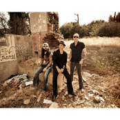 Winery Dogs - List pictures