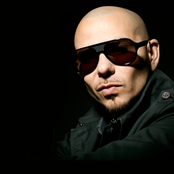 Pitbull - List pictures