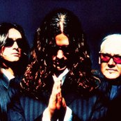 Jaguares - List pictures