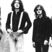 Finch - List pictures