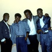 Force M.d.s - List pictures