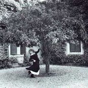 Loreena Mckennitt - List pictures