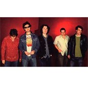 Honeydogs - List pictures