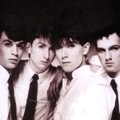 Talk Talk - List pictures